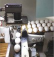 Система сортировки и отбраковки яиц на базе оборудования ОВЕН