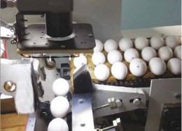 Система сортировки и отбраковки яиц